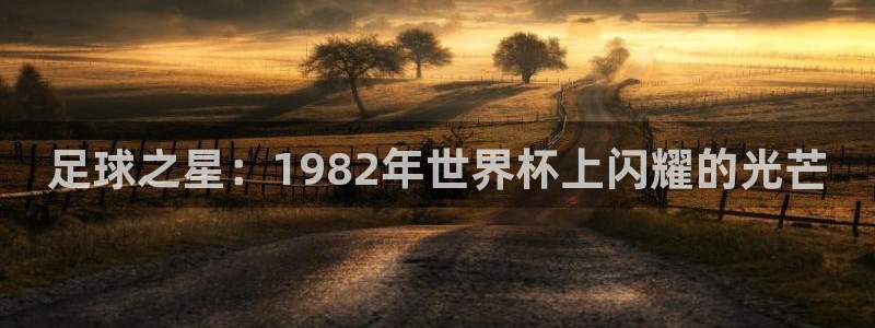 看世界杯:足球之星:1982年世界杯上闪耀的光芒