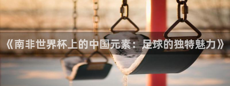 世界杯预选赛直播:《南非世界杯上的中国元素:足球的独特魅力》