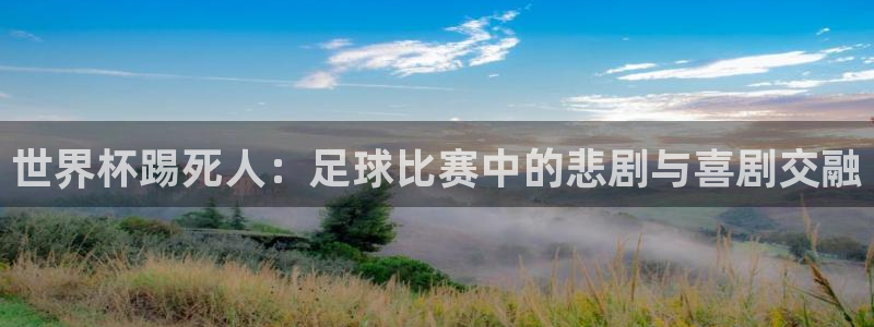 2026年世界杯:世界杯踢死人:足球比赛中的悲剧与喜剧交融