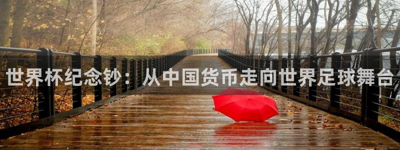 世界杯欧洲区预选赛赛程:世界杯纪念钞:从中国货币走向世界足球舞台