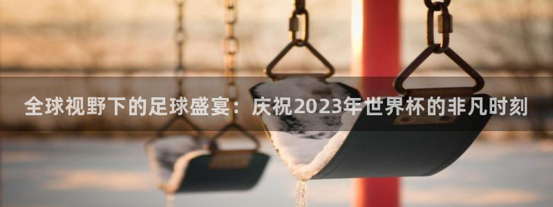 世界杯直播在线观看入口:全球视野下的足球盛宴:庆祝2023年世界杯的非凡时刻