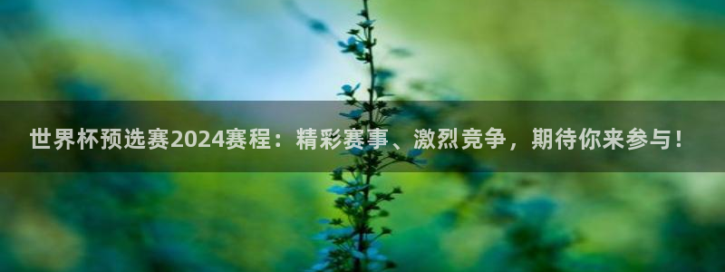 世界杯 赛程:世界杯预选赛2024赛程:精彩赛事、激烈竞争,期待你来参与!