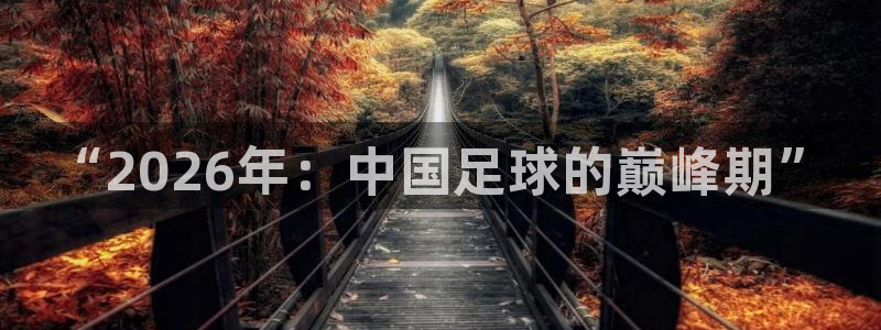 世界杯直播:“2026年:中国足球的巅峰期”