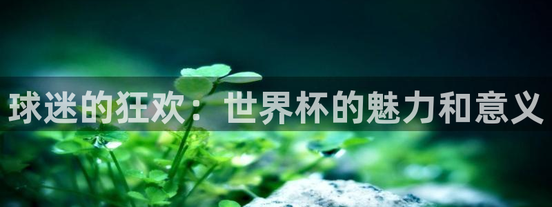 欧洲世预赛赛程表:球迷的狂欢:世界杯的魅力和意义