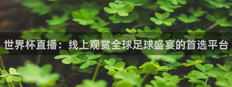26世界杯:世界杯直播:线上观赏全球足球盛宴的首选平台